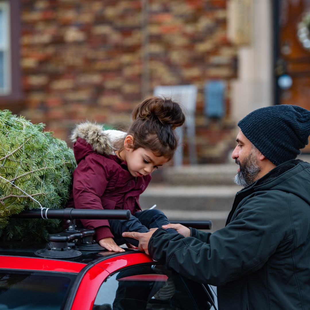 All | Attaching a Christmas Tree with SeaSucker Monkey Bars