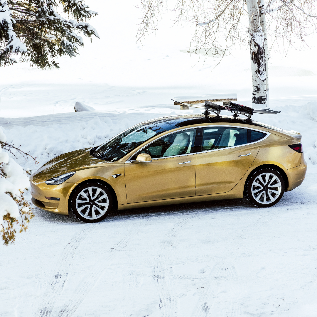 All | SeaSucker Classic Ski Rack on Gold Tesla