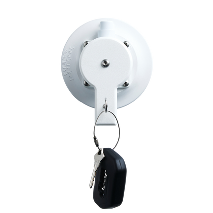 image--single--white