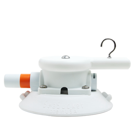 image--single--white