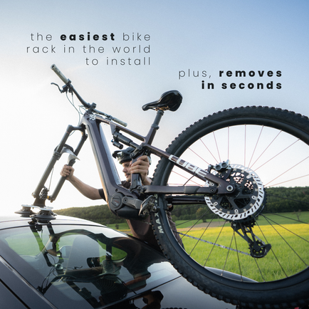 TWO PACK: Talon Rack