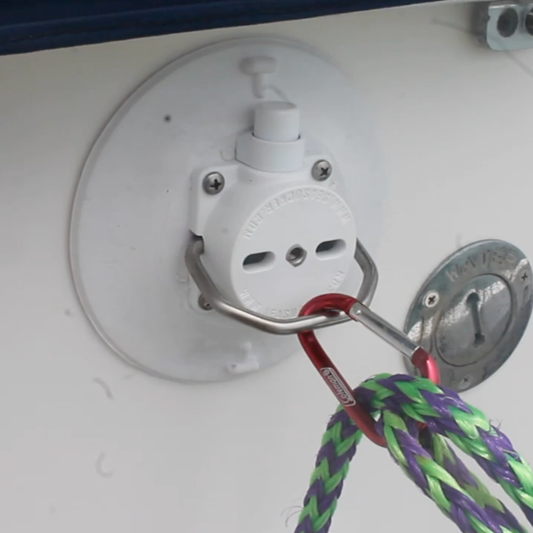 6" SeaSucker w/ Stainless Steel D-Ring