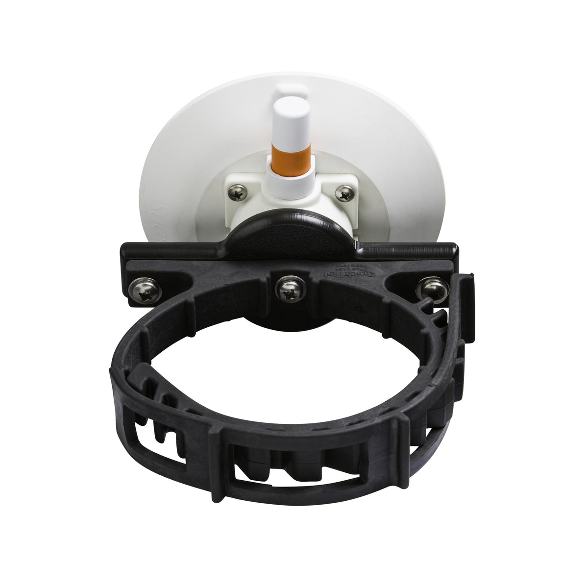 image--On a White SeaSucker