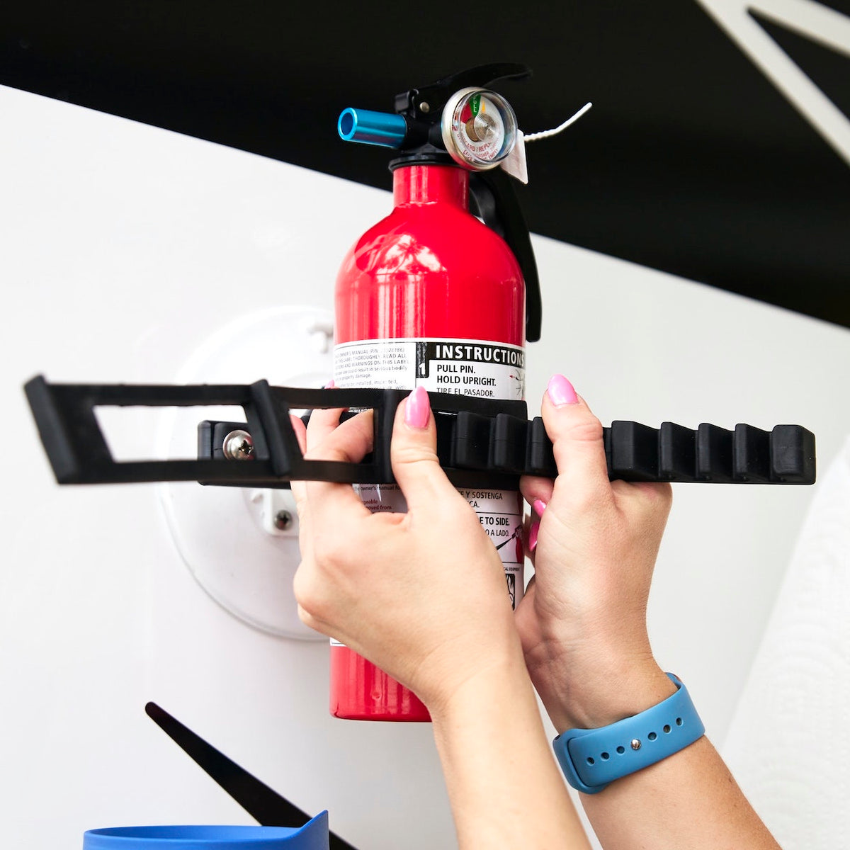 image--On a White SeaSucker